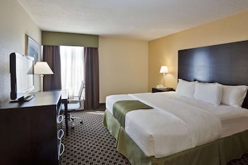 Room, 1 King Bed, Non Smoking