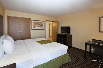 Suite, 1 King Bed