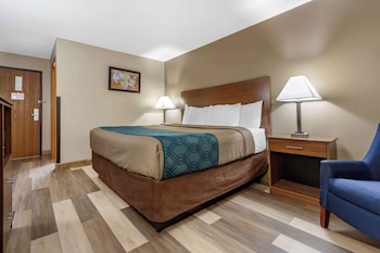 Standard Room, 1 King Bed, Non Smoking