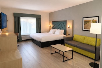 Standard Room, 1 King Bed, Non Smoking, Refrigerator & Microwave