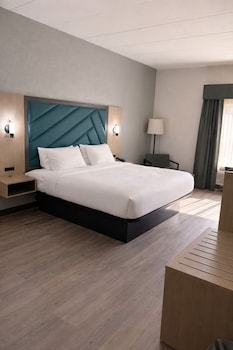Standard Room, 1 King Bed, Accessible, Non Smoking