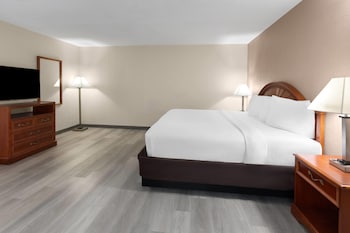 Suite, 1 King Bed, Non Smoking (No Pets)