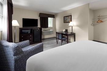 Room, 1 King Bed, Non Smoking (Pet Friendly)