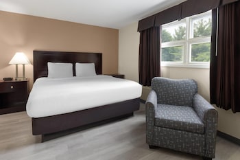 Room, 1 King Bed, Non Smoking (Pet Friendly)
