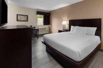 Room, 1 Queen Bed, Non Smoking (Pet Friendly)