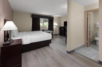 Room, 1 King Bed, Non Smoking (Pet Friendly)