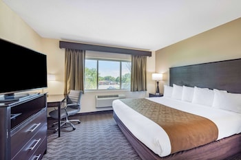 Superior Suite, 1 King Bed, Non Smoking