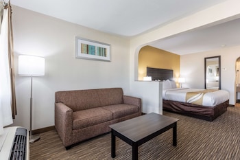 Business Room, 1 King Bed with Sofa bed, Non Smoking