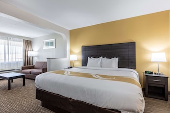 Business Room, 1 King Bed with Sofa bed, Non Smoking