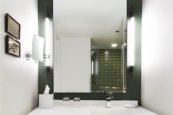 Park Accessible King Roll-in Shower
