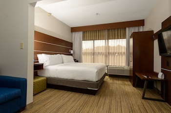 Suite, 1 King Bed