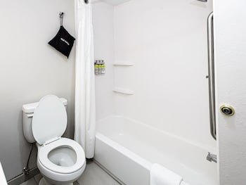 Suite, 1 King Bed with Sofa bed