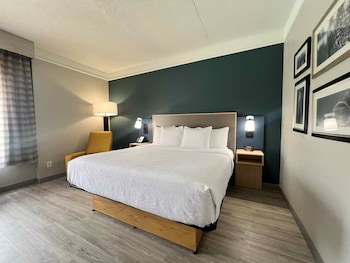 Deluxe Room, 1 King Bed, Non Smoking