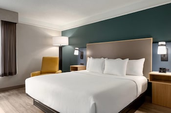 Deluxe Room, 1 King Bed, Mobility Accessible, Non Smoking (Hearing Accessible, Tub w/Grab Bars)