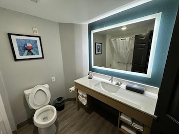 Deluxe Room, 1 King Bed, Mobility Accessible, Non Smoking (Hearing Accessible, Tub w/Grab Bars)