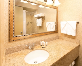 Room, 1 Queen Bed (w/ Roll in shower)