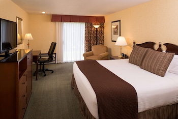 Room, 1 King Bed, Accessible