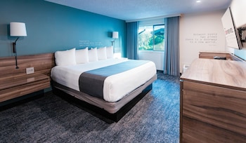 Room, 1 King Bed (Cityside)