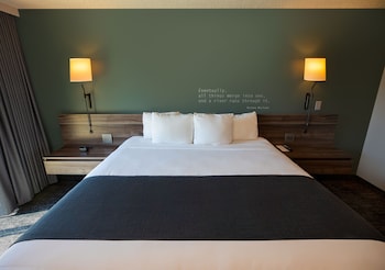Room, 1 King Bed (Cityside)