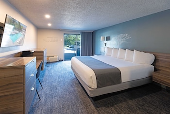 Room, 1 King Bed, Poolside (Single King)