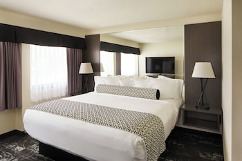 Executive Suite, 1 King Bed