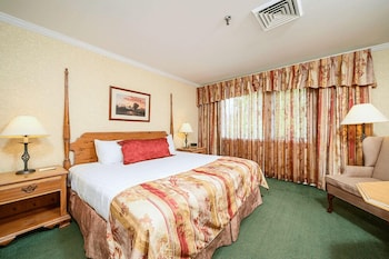 Deluxe Room, 1 King Bed