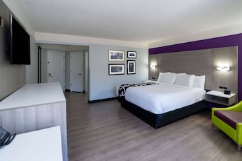Room, 1 King Bed, Non Smoking