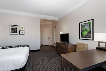 Room, 1 King Bed, Non Smoking (Various Views)