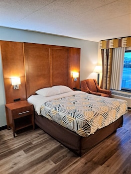 Deluxe Room, 1 King Bed, Non Smoking