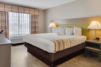 Room, 1 King Bed, Non Smoking
