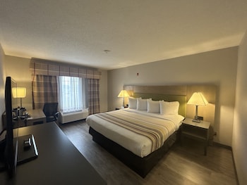 Room, 1 King Bed, Non Smoking