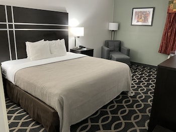 Standard Room, 1 King Bed, Non Smoking