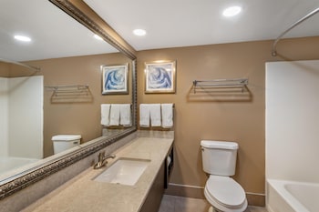 Standard Room, 1 King Bed, Accessible, Bathtub