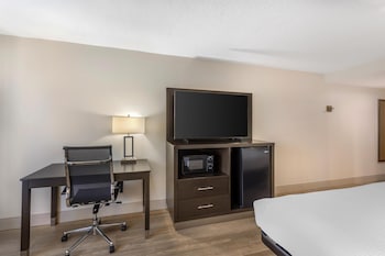 Standard Room, 1 King Bed, Accessible, Bathtub