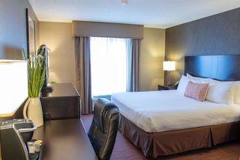 Room, 1 King Bed, Bathtub