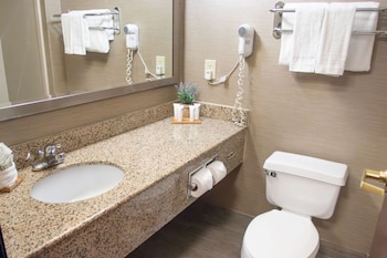 Room, 1 King Bed, Bathtub