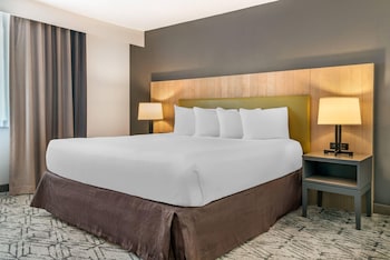 Studio Suite, 1 King Bed, Non Smoking
