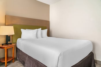 Room, 1 Queen Bed, Non Smoking