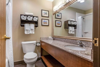 Standard Room, 1 King Bed with Sofa bed, Accessible, Non Smoking (Accessible Tub)