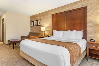 Standard Room, 1 King Bed with Sofa bed, Accessible, Non Smoking (Accessible Tub)