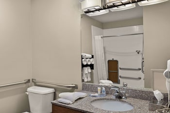 Standard Room, 1 King Bed with Sofa bed, Accessible, Non Smoking (Accessible Tub)