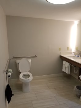 Room, Accessible (Roll-In Shower)