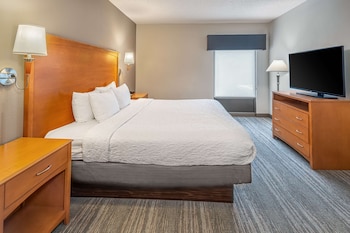 Basic Room, 1 King Bed, Kitchen