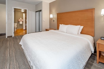 ADA Accessible, Room, 1 King Bed, Accessible (Hearing)