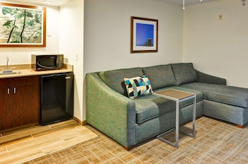 Suite, 1 King Bed with Sofa bed, Non Smoking