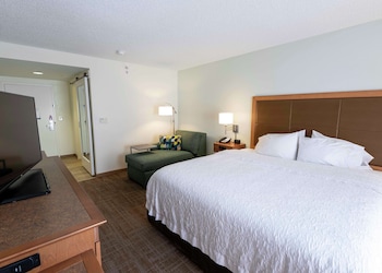 Room, 1 King Bed, Non Smoking (with Chaise Lounge)