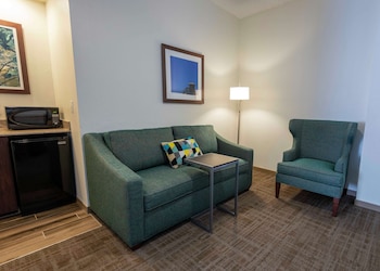 Suite, 1 King Bed, Accessible, Non Smoking (Roll-in Shower)