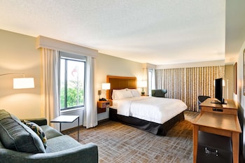 Suite, 1 King Bed with Sofa bed, Non Smoking