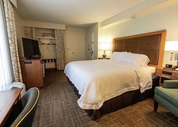Room, 1 King Bed, Non Smoking, Refrigerator & Microwave