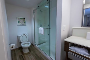 Room, 1 King Bed, Non Smoking, Refrigerator & Microwave